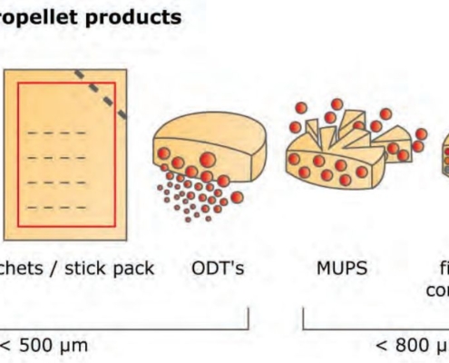 Pellets and micropellets can be further processed into a wide range
