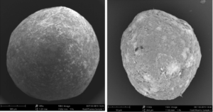 Figure 1: Electron microscopy images of a coated pellet (Cellets® 1000, left), and a coated microparticle (Cellets® 100, right).