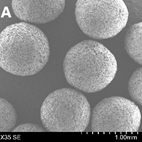 SEM images of processed pellets. A: ASD layered pellets based on Cellets® (FB)