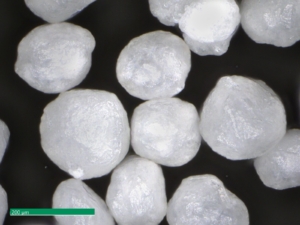Figure 1: Image of MCC micropellets (Cellets® 100).