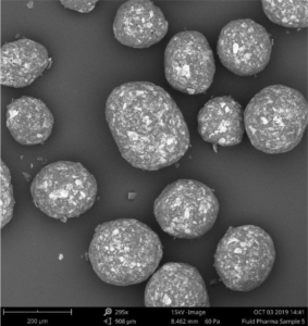 Figure 2: SEM image of layered Gliclazide sustained release micropellets with a weight gain at 25 % (CL25).