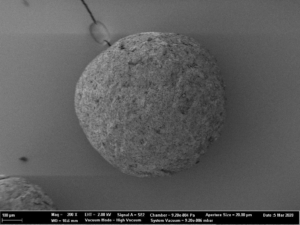 SEM images of Cellets® 500 particles coated with sodium benzoate at process conditions as printed in Table 2 (bold).