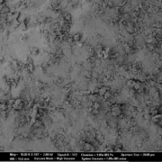 Close-up SEM images of Cellets® 500 particles coated with sodium benzoate at process conditions as printed in Table 2 (bold).