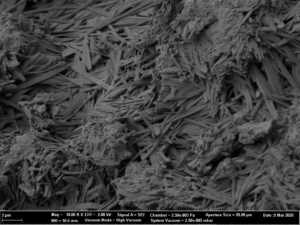 Close-up SEM images of Cellets® 500 particles coated with sodium benzoate at process conditions as printed in Table 2 (italic).