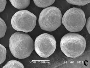 SEM micrographs of CELLETS® 700