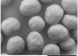 fig-3_Plasticity of Microcrystalline Cellulose Spheres