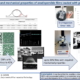 Homogeneity and mechanical properties of orodispersible films loaded with pellets