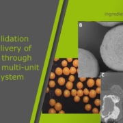 In vitro validation of colon delivery of vitamin B2 through a food grade multi-unit particle system