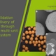 In vitro validation of colon delivery of vitamin B2 through a food grade multi-unit particle system