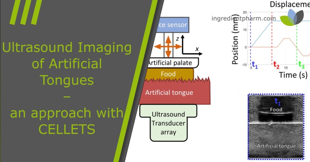 Ultrasound Imaging of Artificial Tongues - an approach with Cellets ...