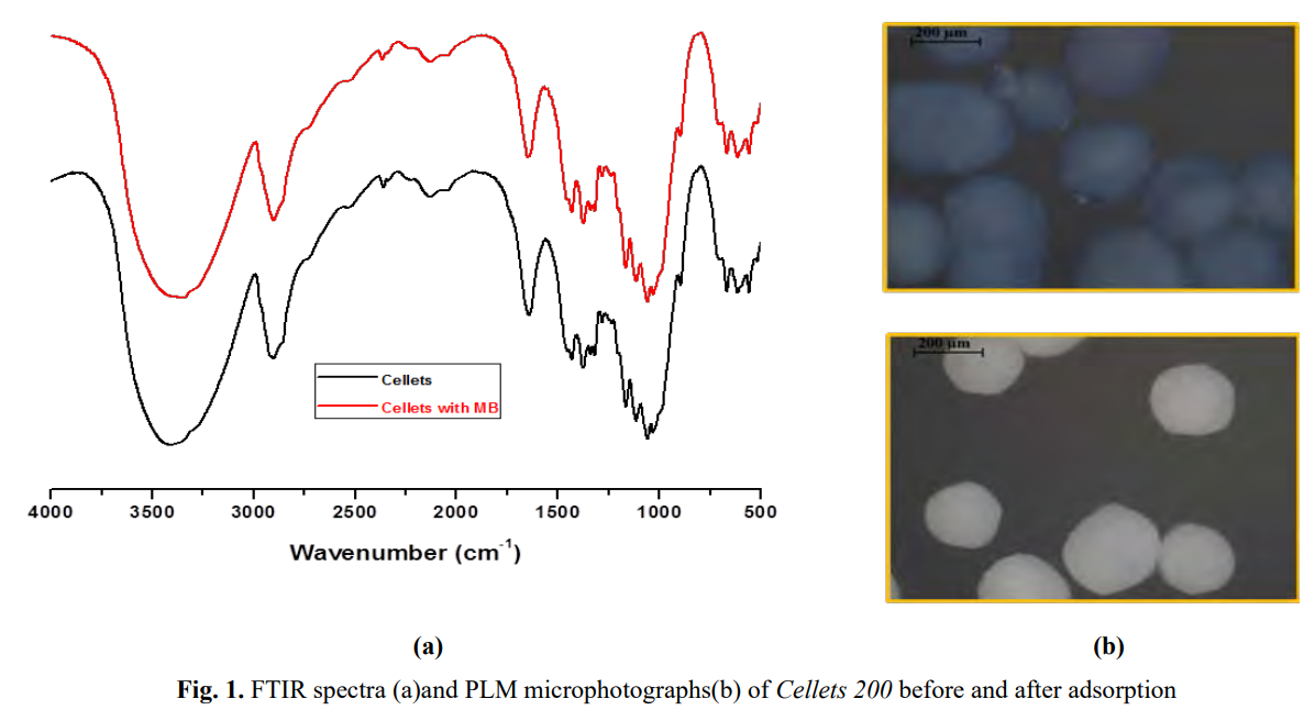 Fixed-bed-column studies for methylene blue removal by CELLETS