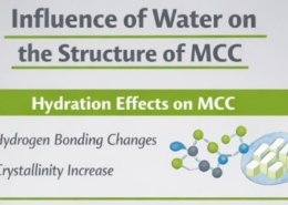 Influence of Water on the Structure of MCC-thumbnail