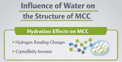 Influence of Water on the Structure of MCC-thumbnail