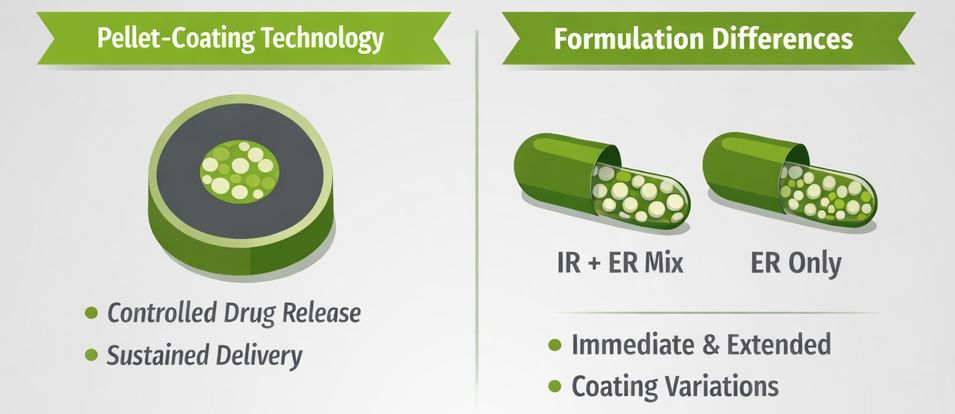 Methylphenidate Modified Release Formulations: Pellet-Based Technologies for Extended ADHD Treatment